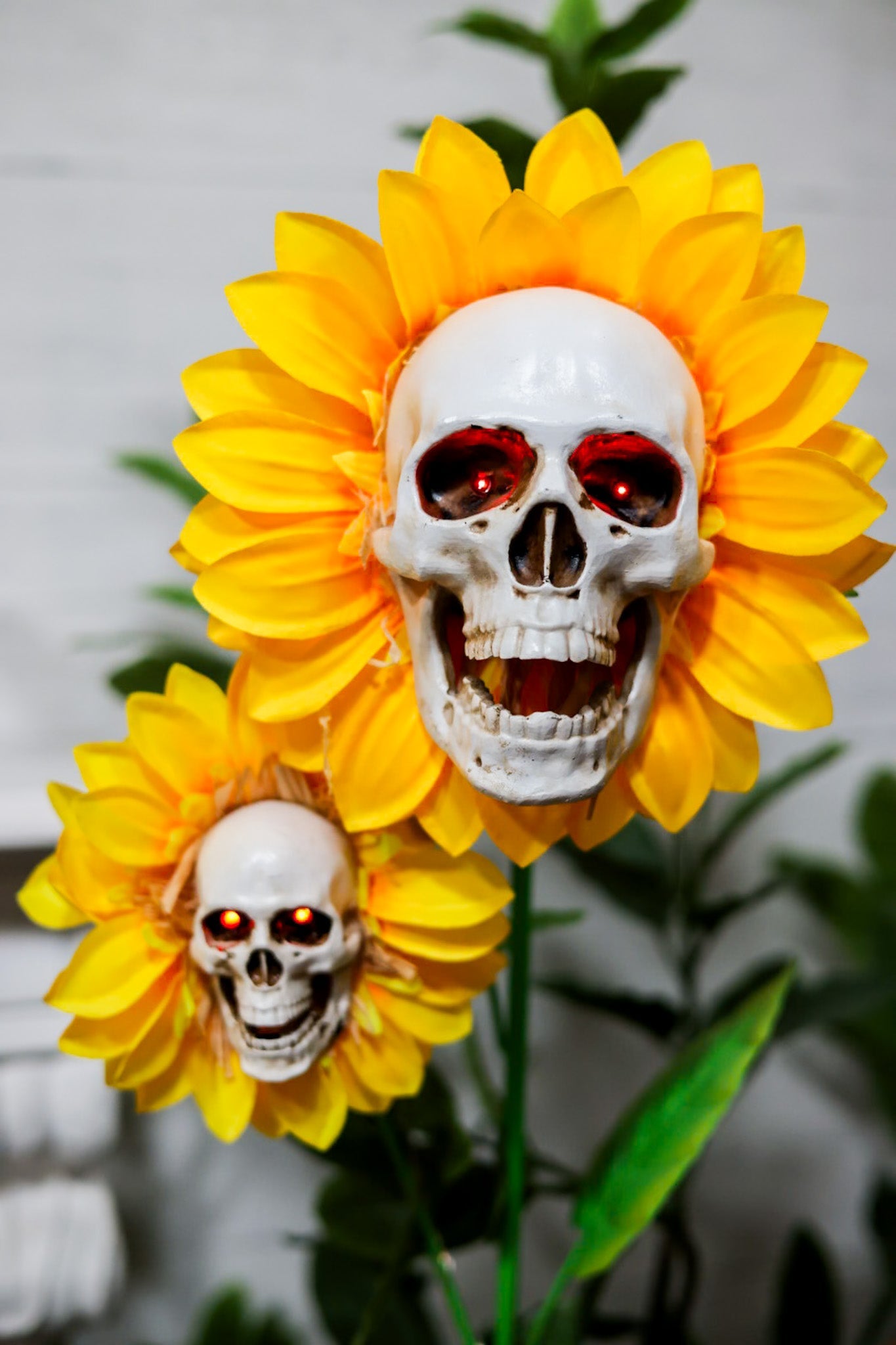 49" Skull Sunflower Solar Stake - Whiskey Skies - GERSON COMPANIES