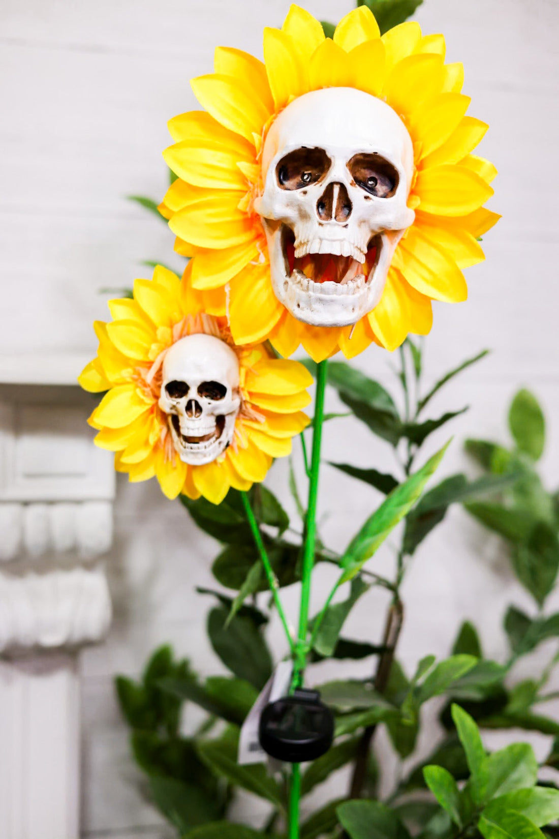 49" Skull Sunflower Solar Stake - Whiskey Skies - GERSON COMPANIES