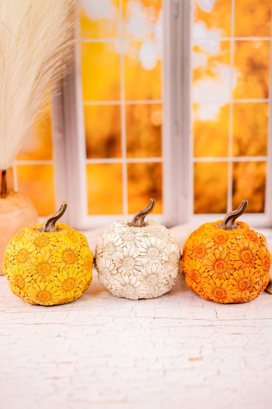 5.5" Resin Harvest Flower Pumpkins (3 Colors) - Whiskey Skies - GERSON COMPANIES