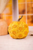 5.5" Resin Harvest Flower Pumpkins (3 Colors) - Whiskey Skies - GERSON COMPANIES