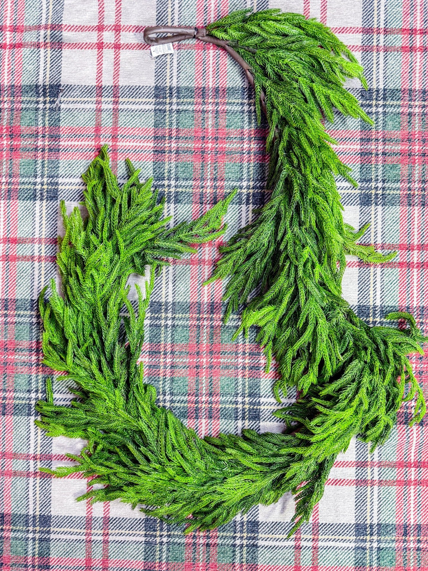 6' Norfolk Pine Garland - Whiskey Skies - RAZ IMPORTS