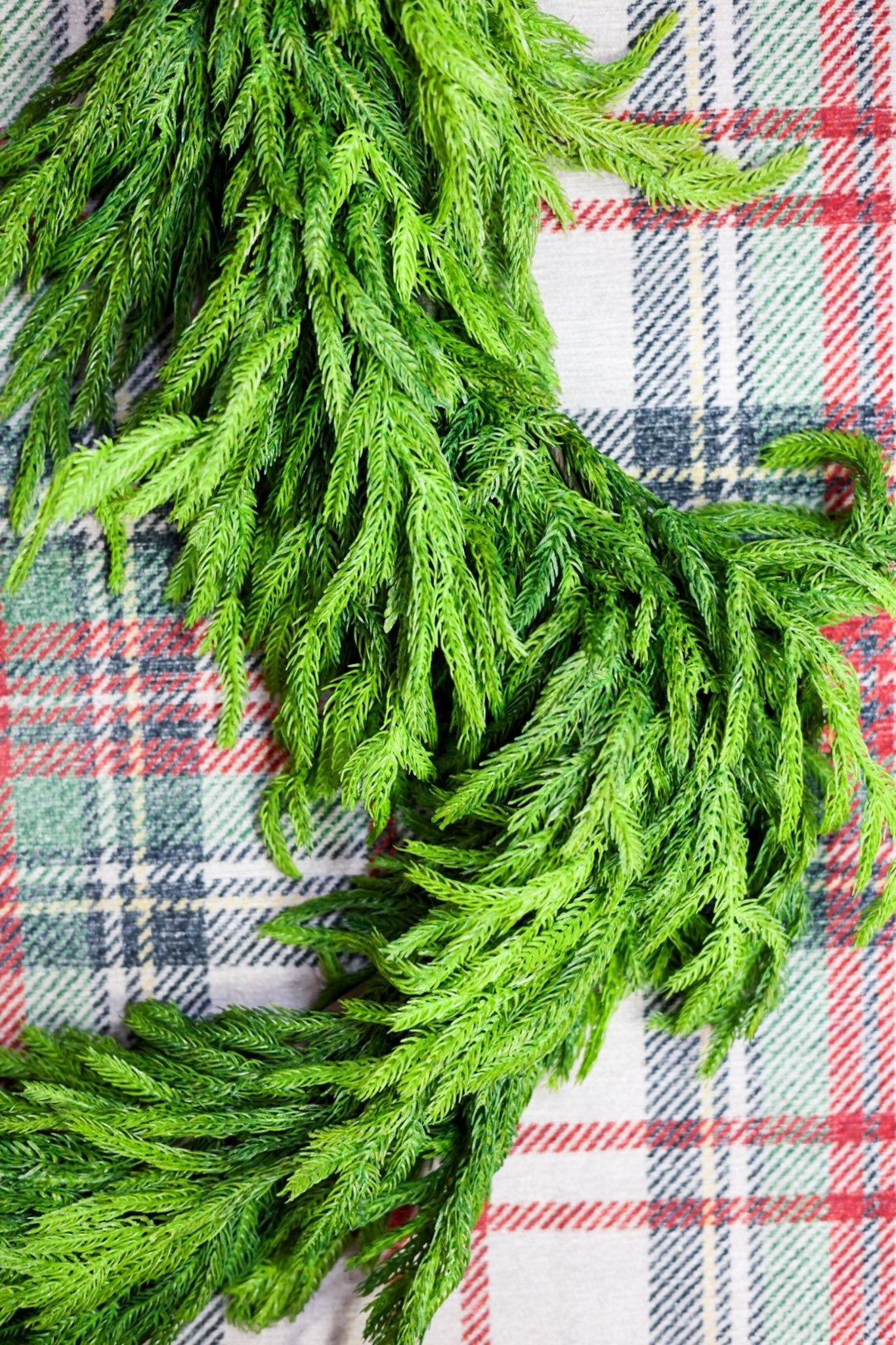 6' Norfolk Pine Garland - Whiskey Skies - RAZ IMPORTS