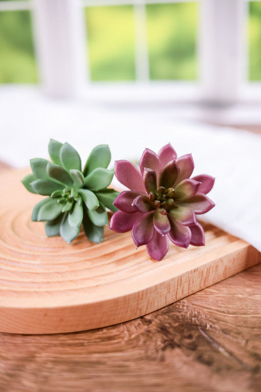 7" Faux Succulent Pick (2 Colors) - Whiskey Skies - RAZ IMPORTS