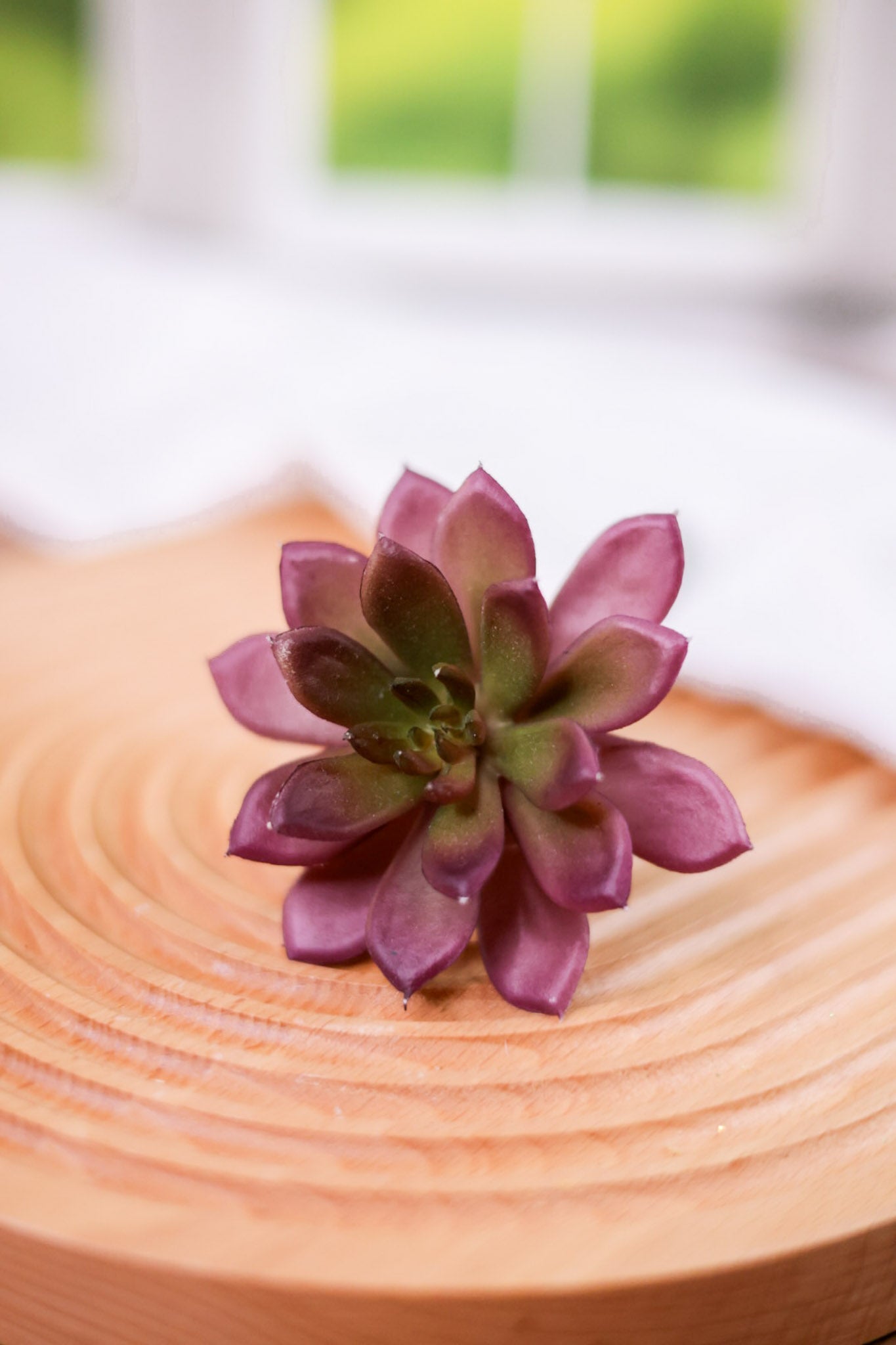 7" Faux Succulent Pick (2 Colors) - Whiskey Skies - RAZ IMPORTS