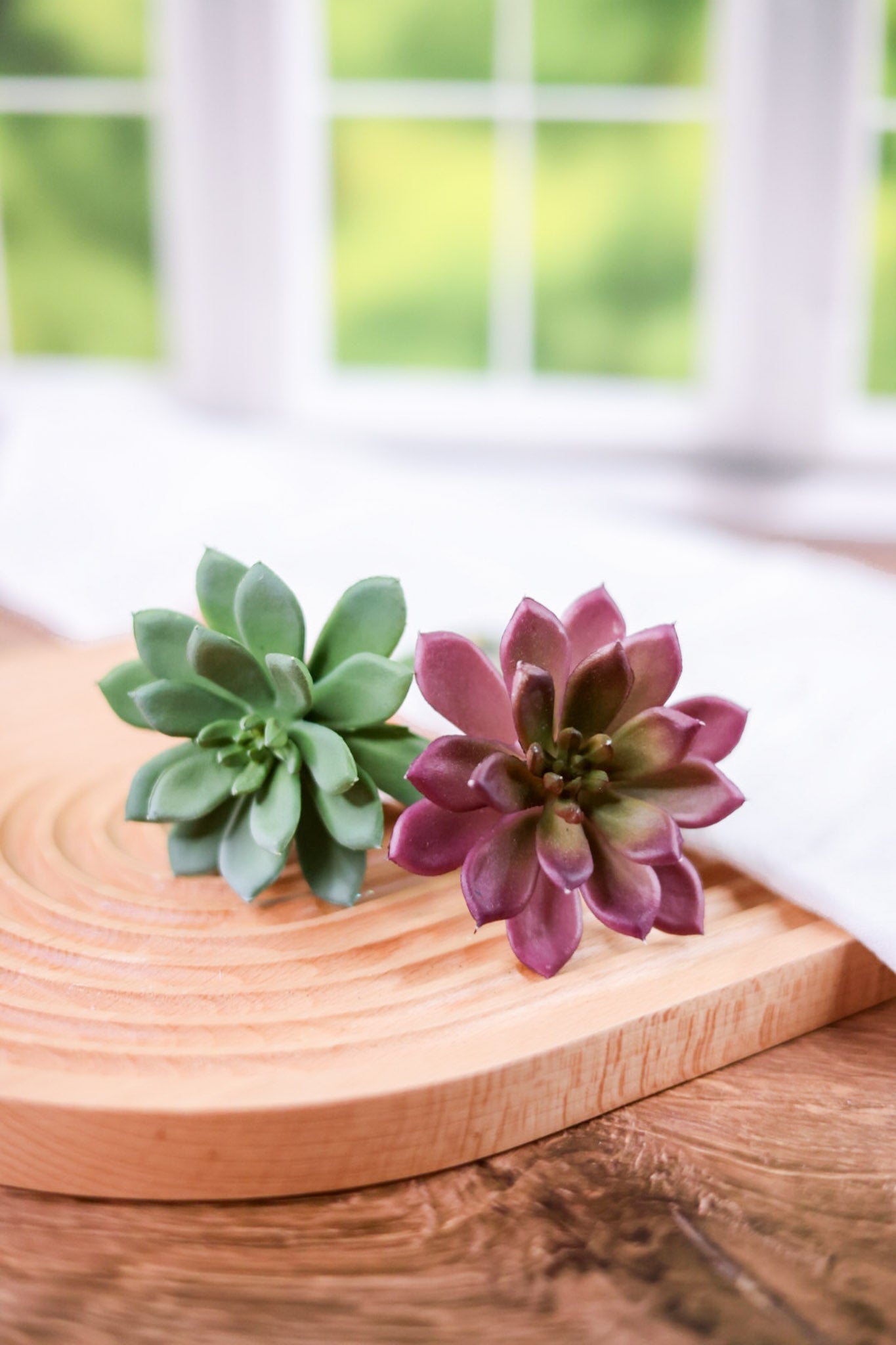 7" Faux Succulent Pick (2 Colors) - Whiskey Skies - RAZ IMPORTS