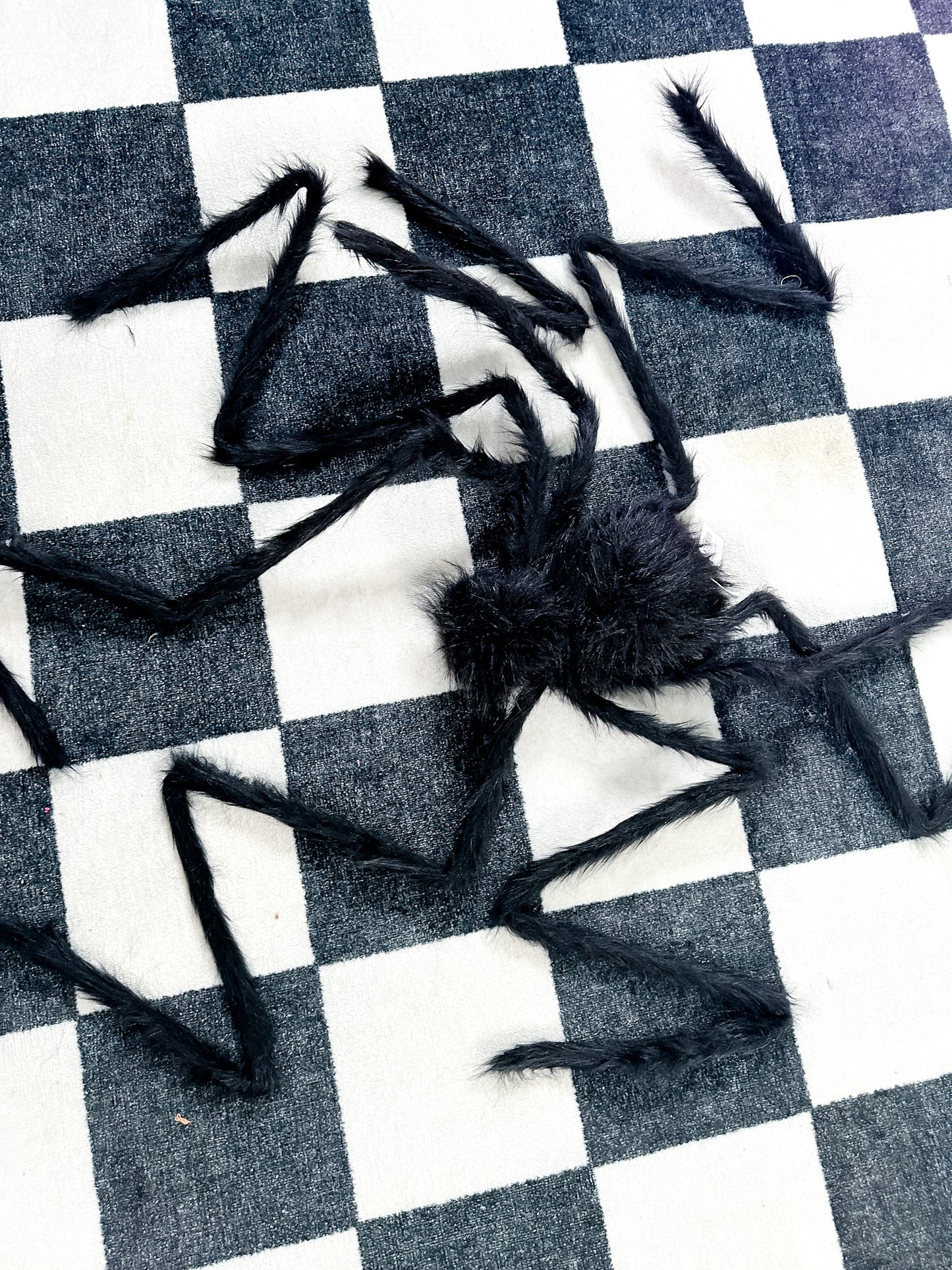 Black Halloween Giant Spider FINAL SALE