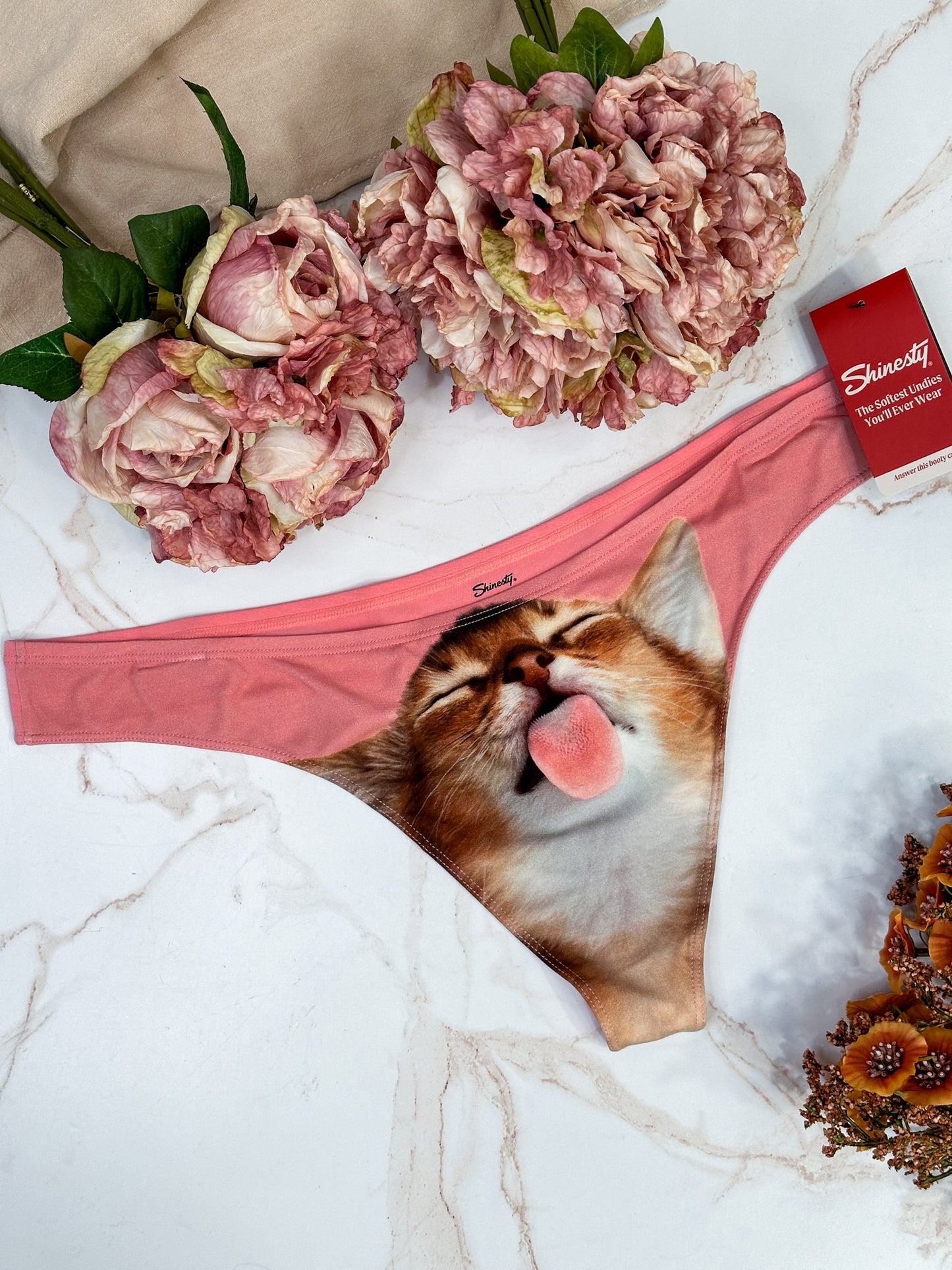 The Right Meow MicroModal Thong Underwear