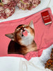 The Right Meow Modal Boyshort Underwear