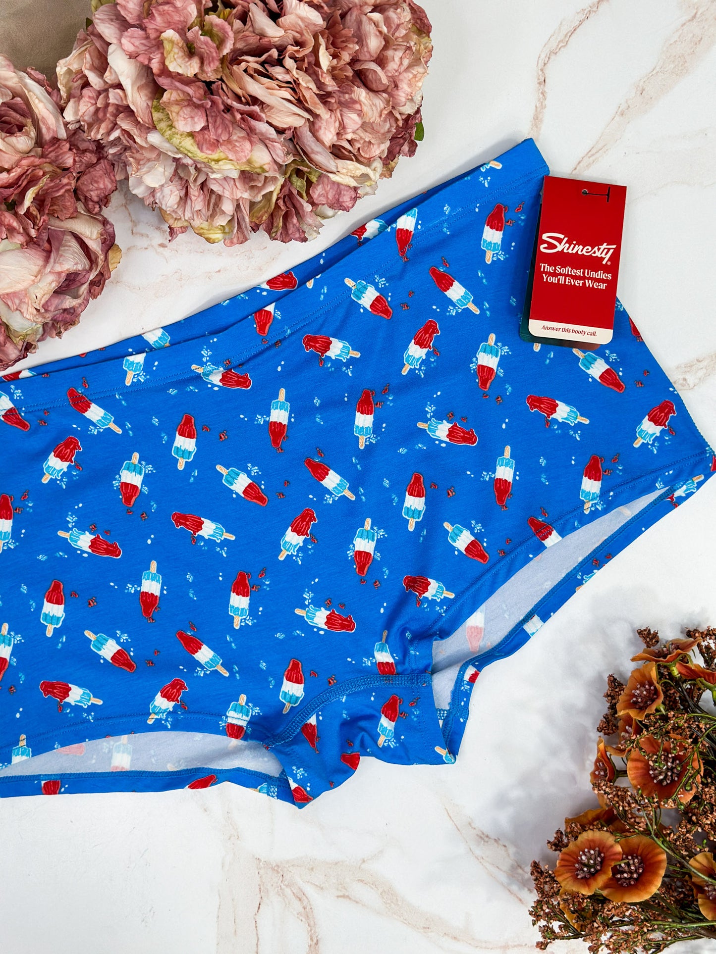 The Popsicle Stick Modal Boyshort Underwear