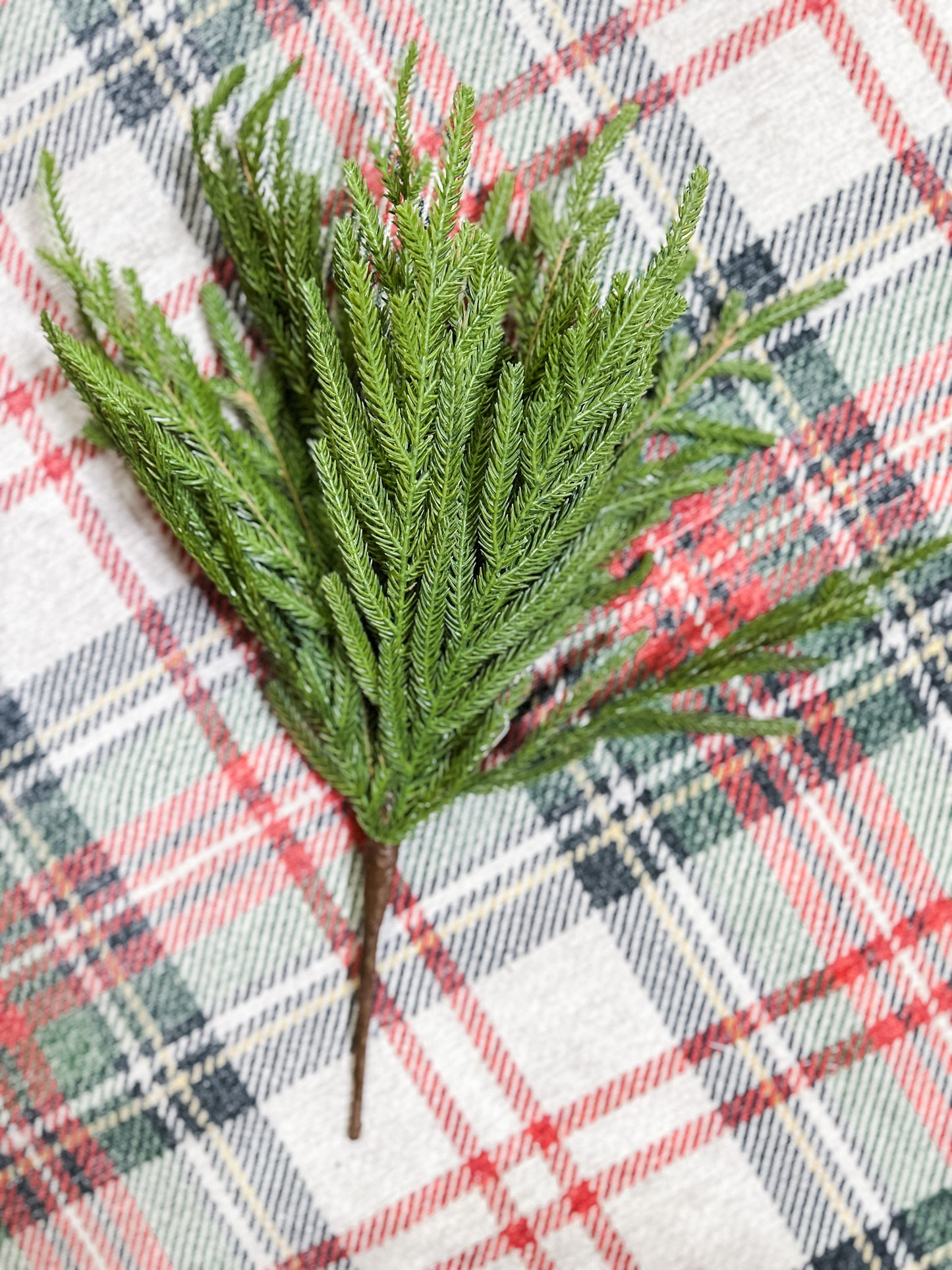 18" Norfolk Pine Pick