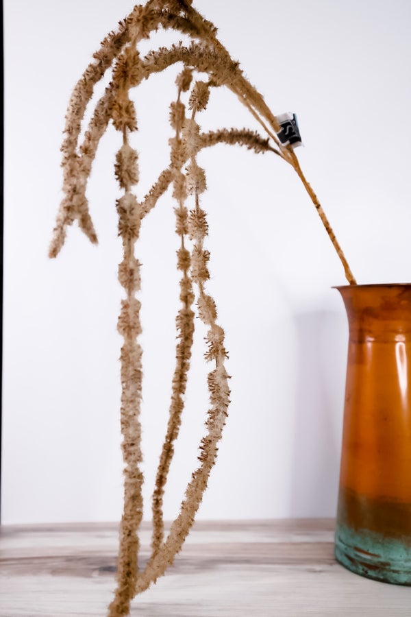 Beige Brown Draping Amaranthus Spray - Whiskey Skies