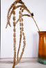 Beige Brown Draping Amaranthus Spray - Whiskey Skies