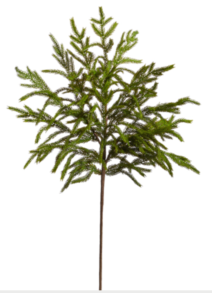 33" Norfolk Pine Spray