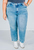 Judy Blue Mid Rise Medium Wash Destroy Straight Jeans