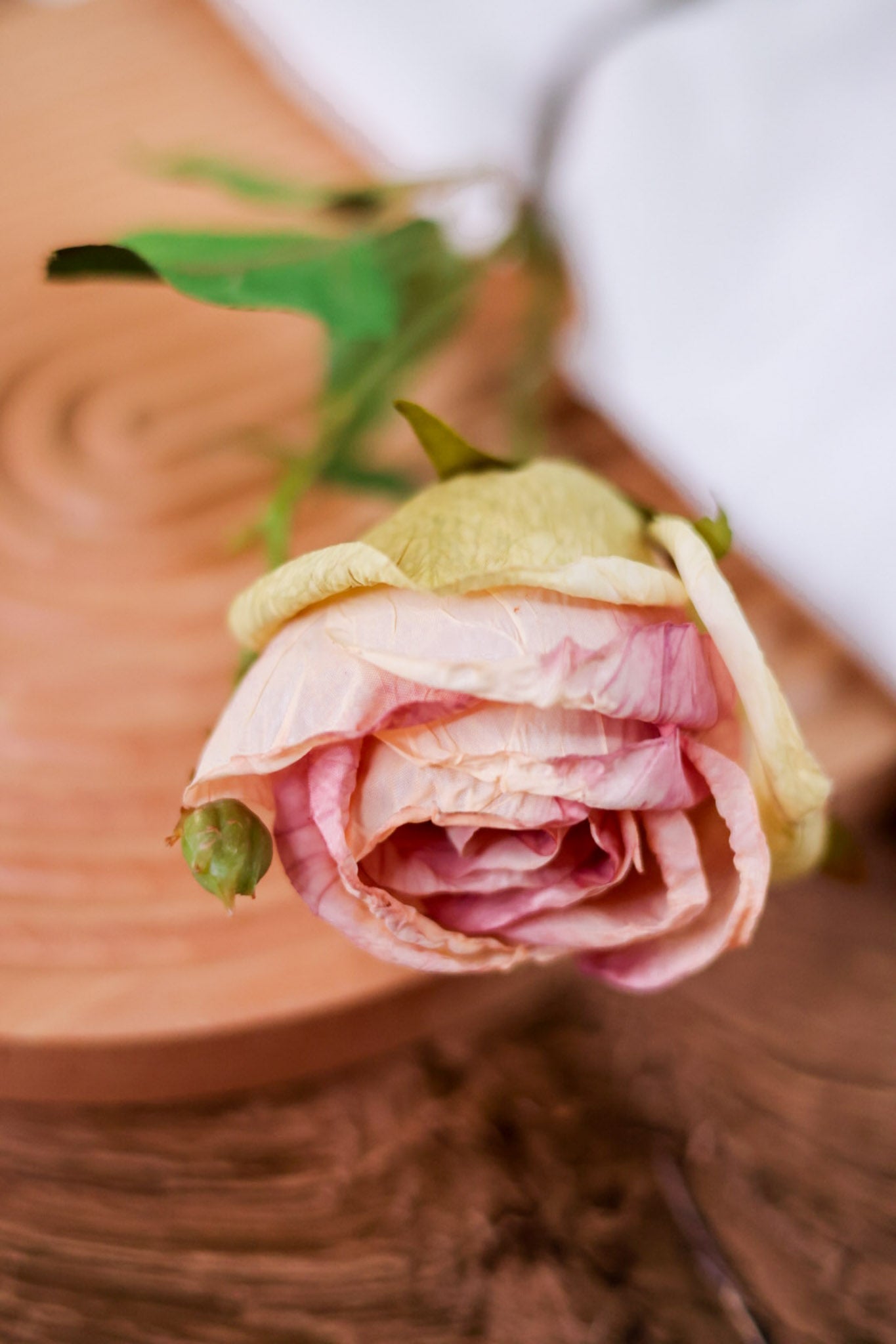 Antique Blush Rose Stem - Whiskey Skies - RAZ IMPORTS