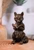 Antique Gold Resin Reading Forest Friends Figurines (3 Styles) - Whiskey Skies - RAZ IMPORTS