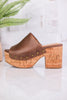 Bada Bing Brown Distressed Clogs - Whiskey Skies - CORKYS FOOTWEAR