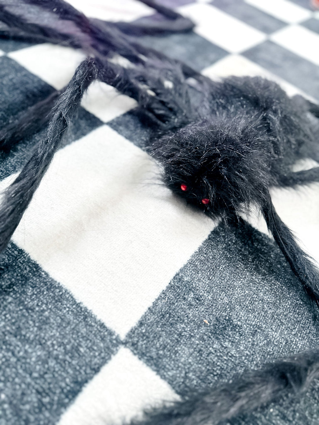 Black Halloween Giant Spider - Whiskey Skies - HANNA'S HANDIWORKS