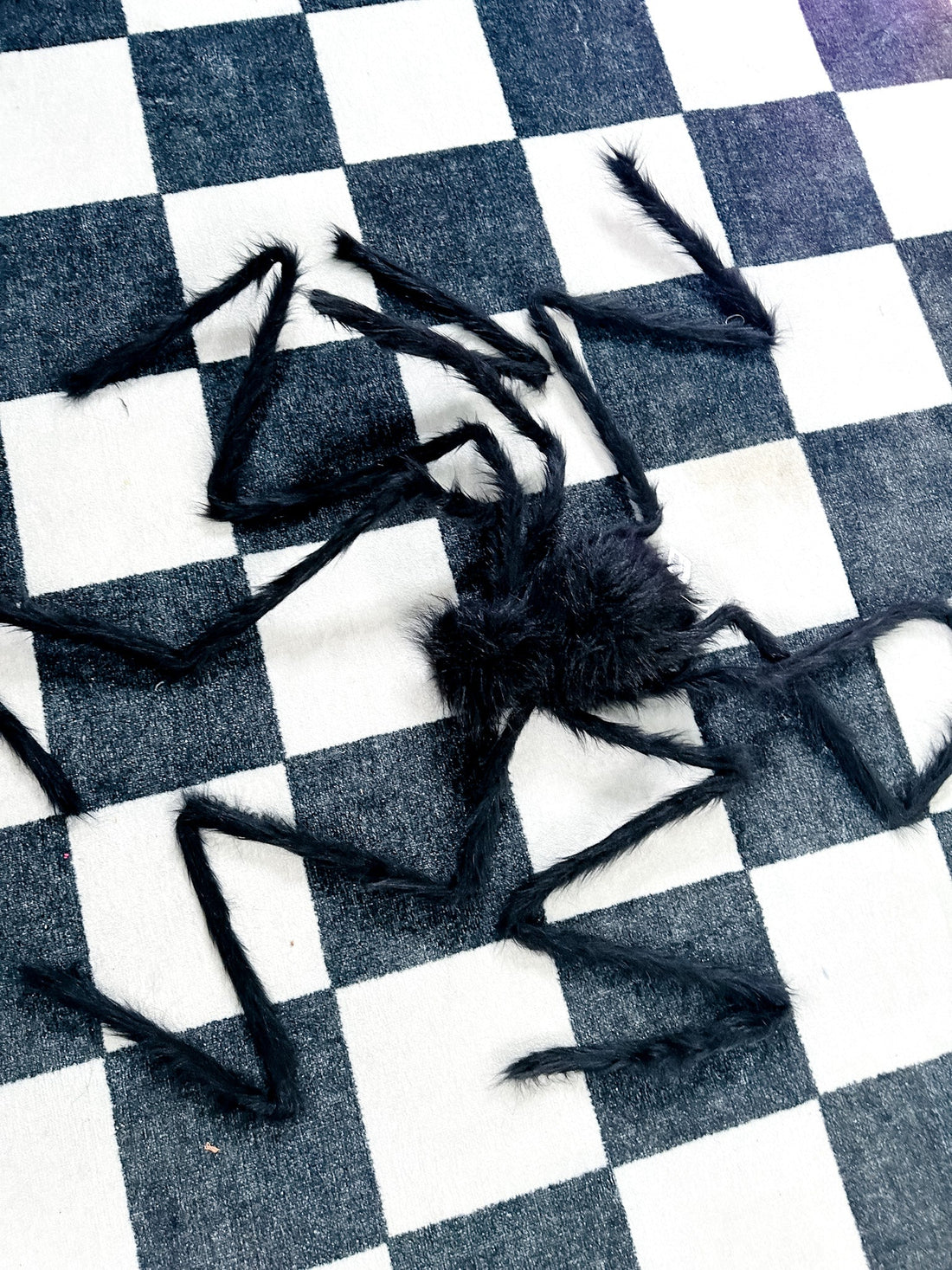 Black Halloween Giant Spider - Whiskey Skies - HANNA'S HANDIWORKS