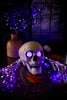 Buried Skeleton with LED Eyes Set - Whiskey Skies - GERSON COMPANIES