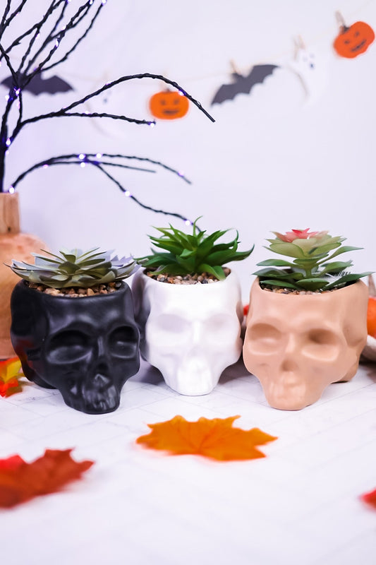 Ceramic Skull Planters with Faux Succulents (3 Colors) - Whiskey Skies - YOUNG'S INC