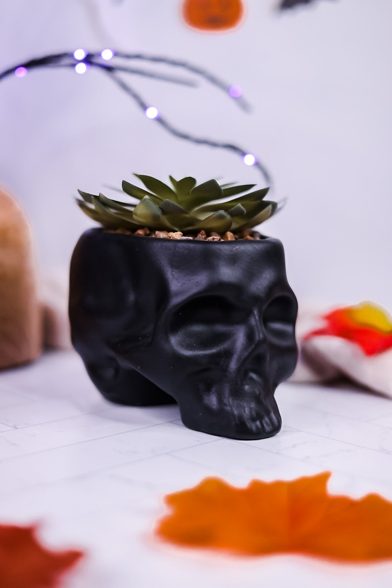 Ceramic Skull Planters with Faux Succulents (3 Colors) - Whiskey Skies - YOUNG'S INC