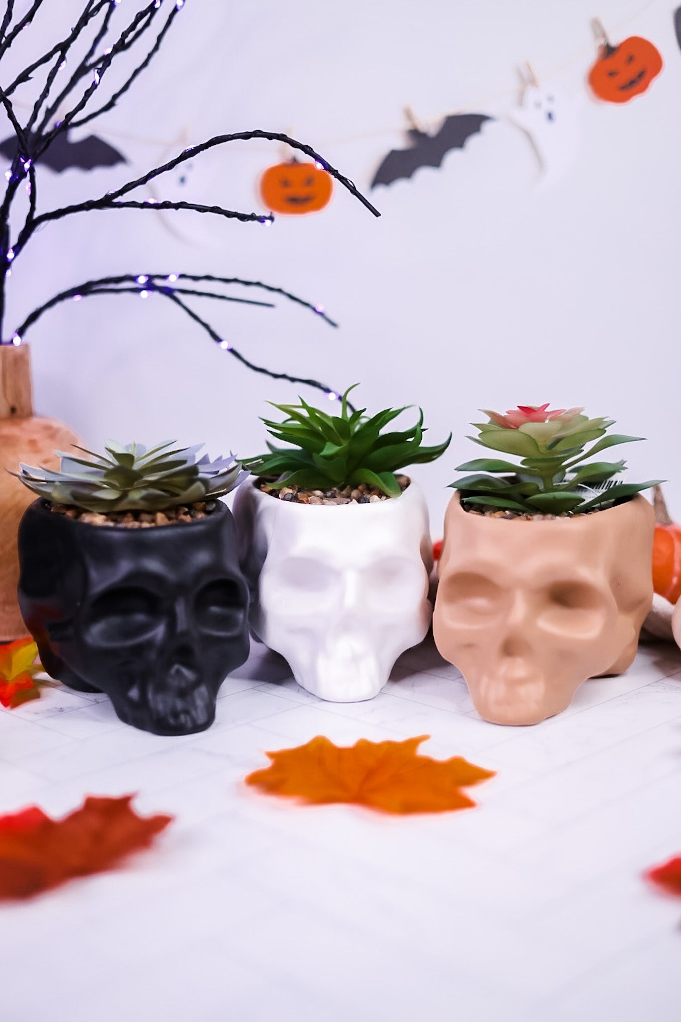 Ceramic Skull Planters with Faux Succulents (3 Colors) - Whiskey Skies - YOUNG'S INC