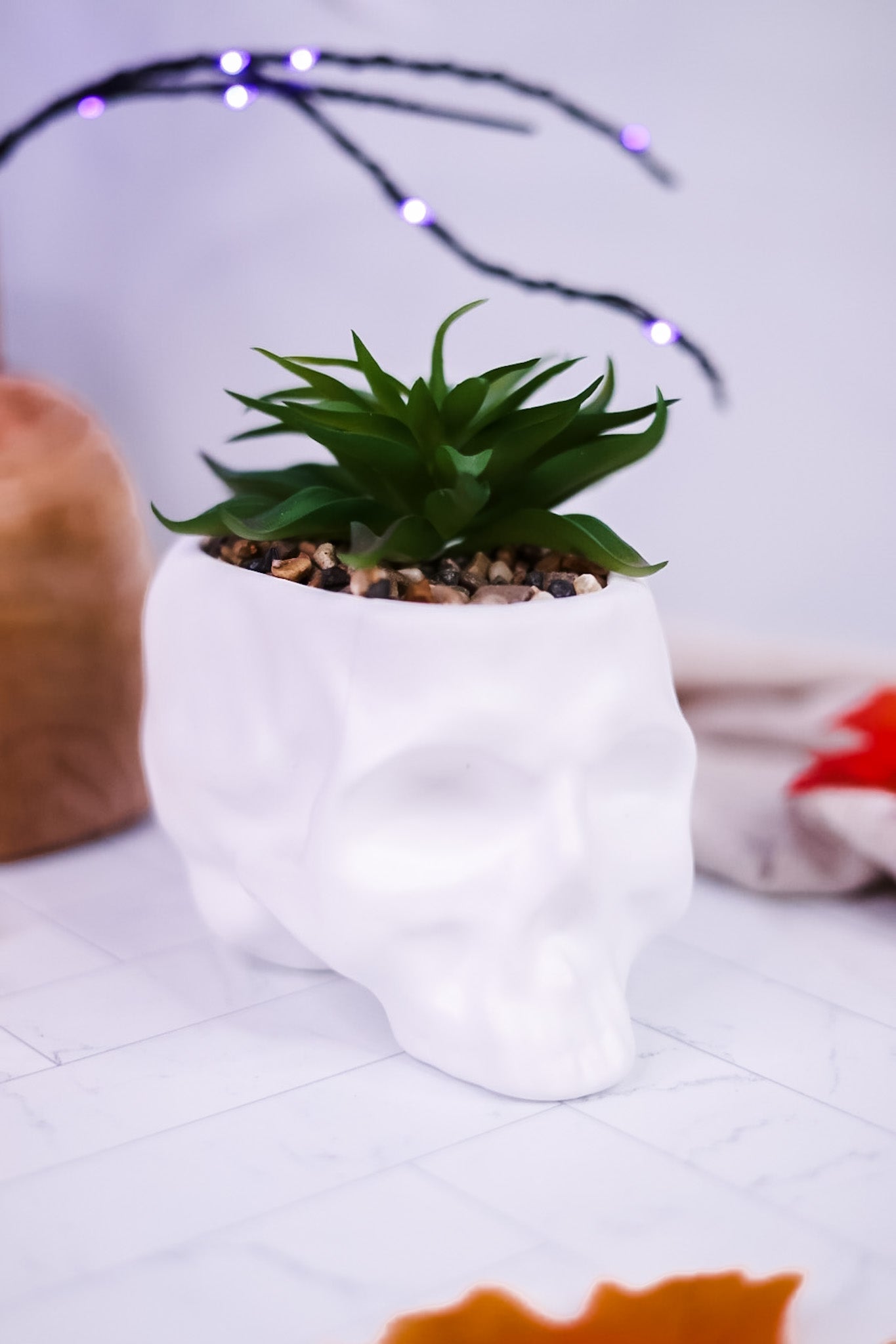 Ceramic Skull Planters with Faux Succulents (3 Colors) - Whiskey Skies - YOUNG'S INC