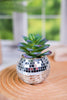 Disco Ball Planter with Faux Succulent (2 Sizes) - Whiskey Skies - KARMA