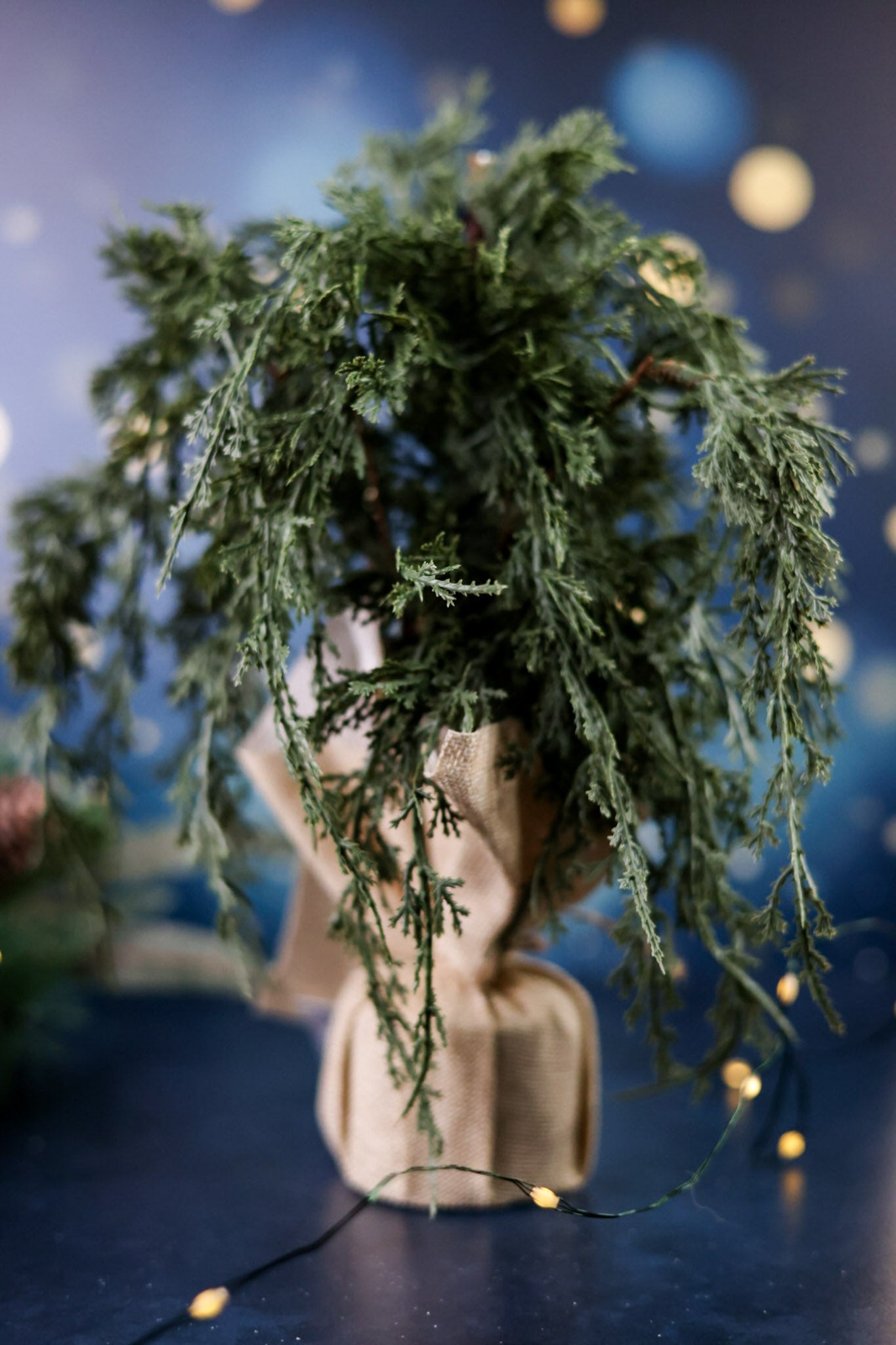 Faux Dark Green Juniper Burlap Sack Tree - Whiskey Skies - WT COLLECTION