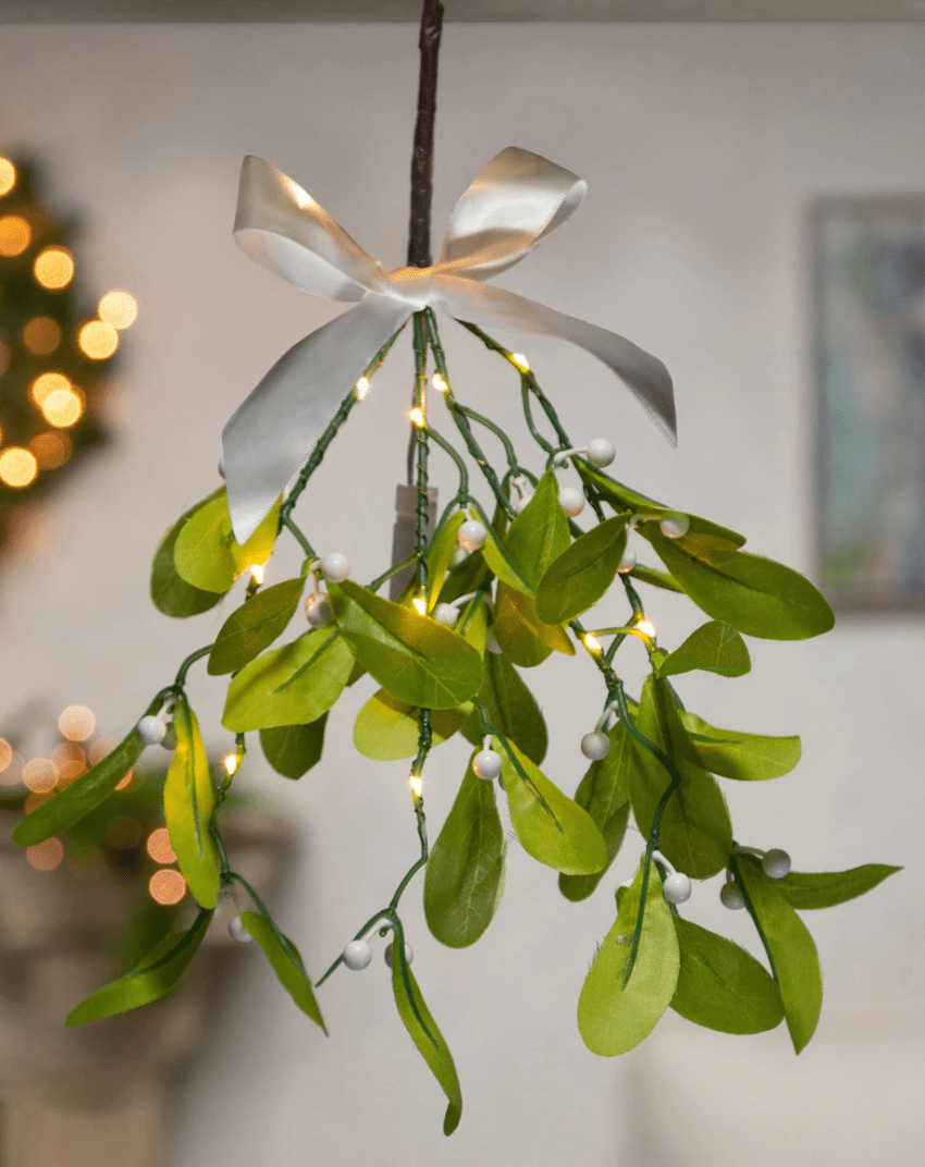 Faux Mistletoe Branch with Warm White LEDs - Whiskey Skies - GERSON COMPANIES