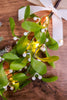 Faux Mistletoe Branch with Warm White LEDs - Whiskey Skies - GERSON COMPANIES