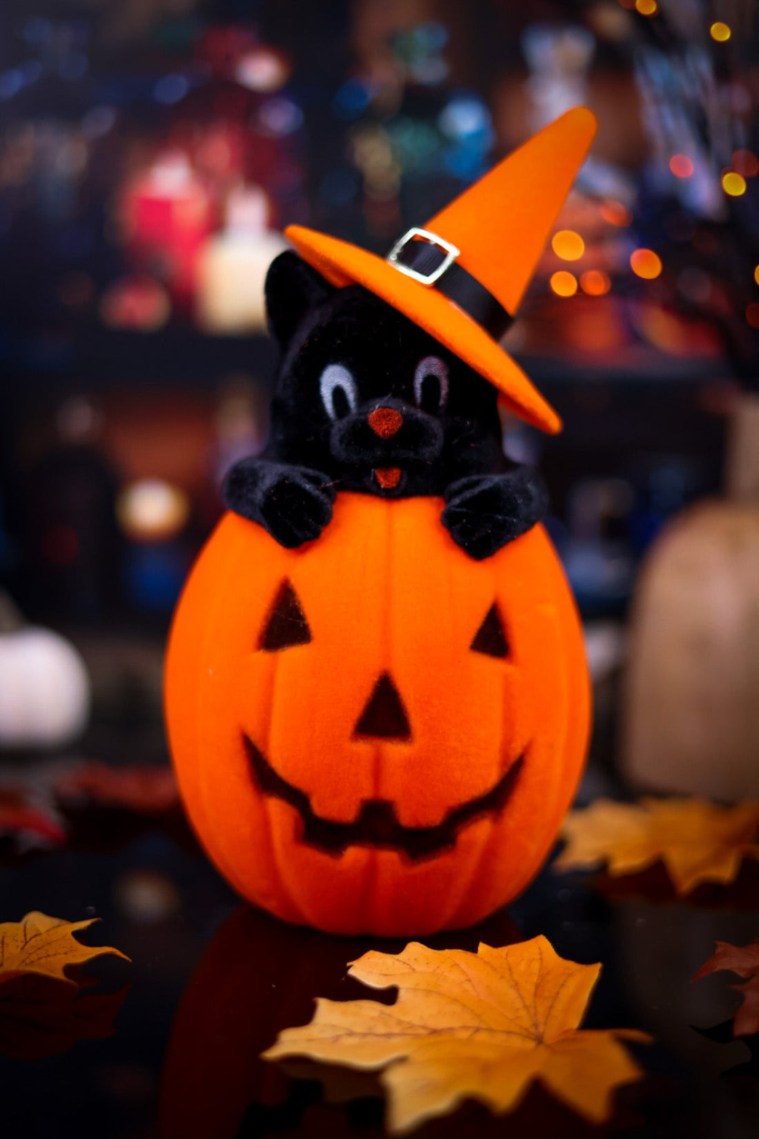 Flocked Black Cat in Jack - O - Lantern (6 Colors) - Whiskey Skies - 180 DEGREES