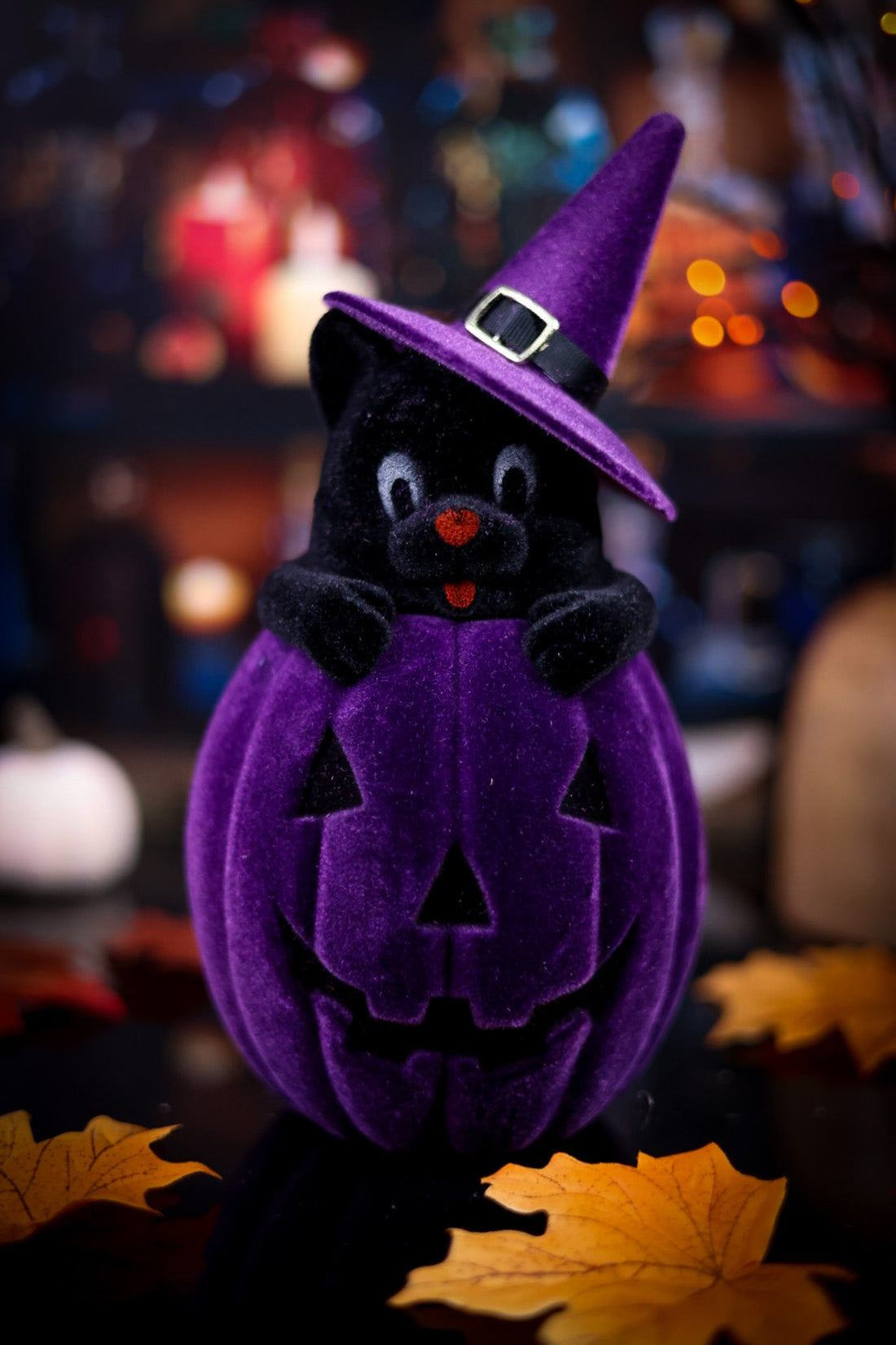 Flocked Black Cat in Jack - O - Lantern (6 Colors) - Whiskey Skies - 180 DEGREES