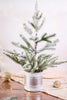 Flocked Pine Potted Tree - Whiskey Skies - SPECIAL T IMPORTS INC