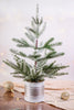 Flocked Pine Potted Tree - Whiskey Skies - SPECIAL T IMPORTS INC