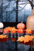 Friendly Pumpkin Tea Light Candle Set - Whiskey Skies - 180 DEGREES