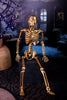 Gold Colored Posable Hangable Skeleton - Whiskey Skies - 180 DEGREES
