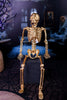 Gold Colored Posable Hangable Skeleton - Whiskey Skies - 180 DEGREES