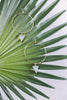 Gold Hoop Earrings - Whiskey Skies - LESLIE CURTIS JEWLERY DESIGNS