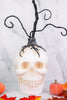 Halloween Resin Skull Tree Display - Whiskey Skies - K&K INTERIORS