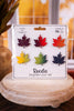 Harvest Ombre Maple Leaf Magnets S/6 - Whiskey Skies - ROEDA STUDIO