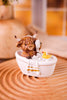 Highland Cow Powder Room Resin Sitters (Three Styles) - Whiskey Skies - HANNA'S HANDIWORKS