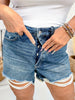 Judy Blue High Waist Rigid Magic Cutoff Shorts - Whiskey Skies - JUDY BLUE