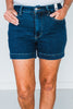 Judy Blue High Waist Tummy Control Shorts - Whiskey Skies - JUDY BLUE