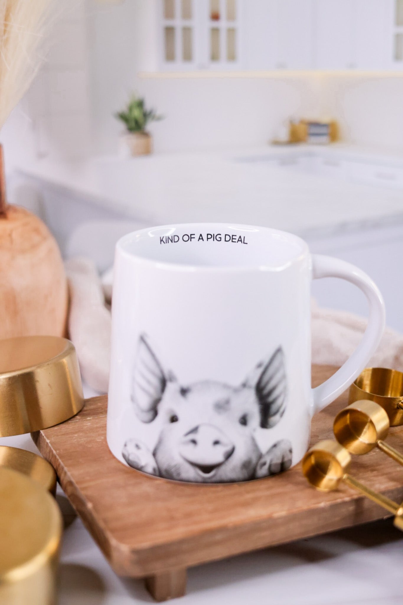 Kind of a Pig Deal 17oz Mug - Whiskey Skies - PAVILION