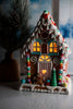 Lighted Christmas Gingerbread House Decoration - Whiskey Skies - RAZ IMPORTS