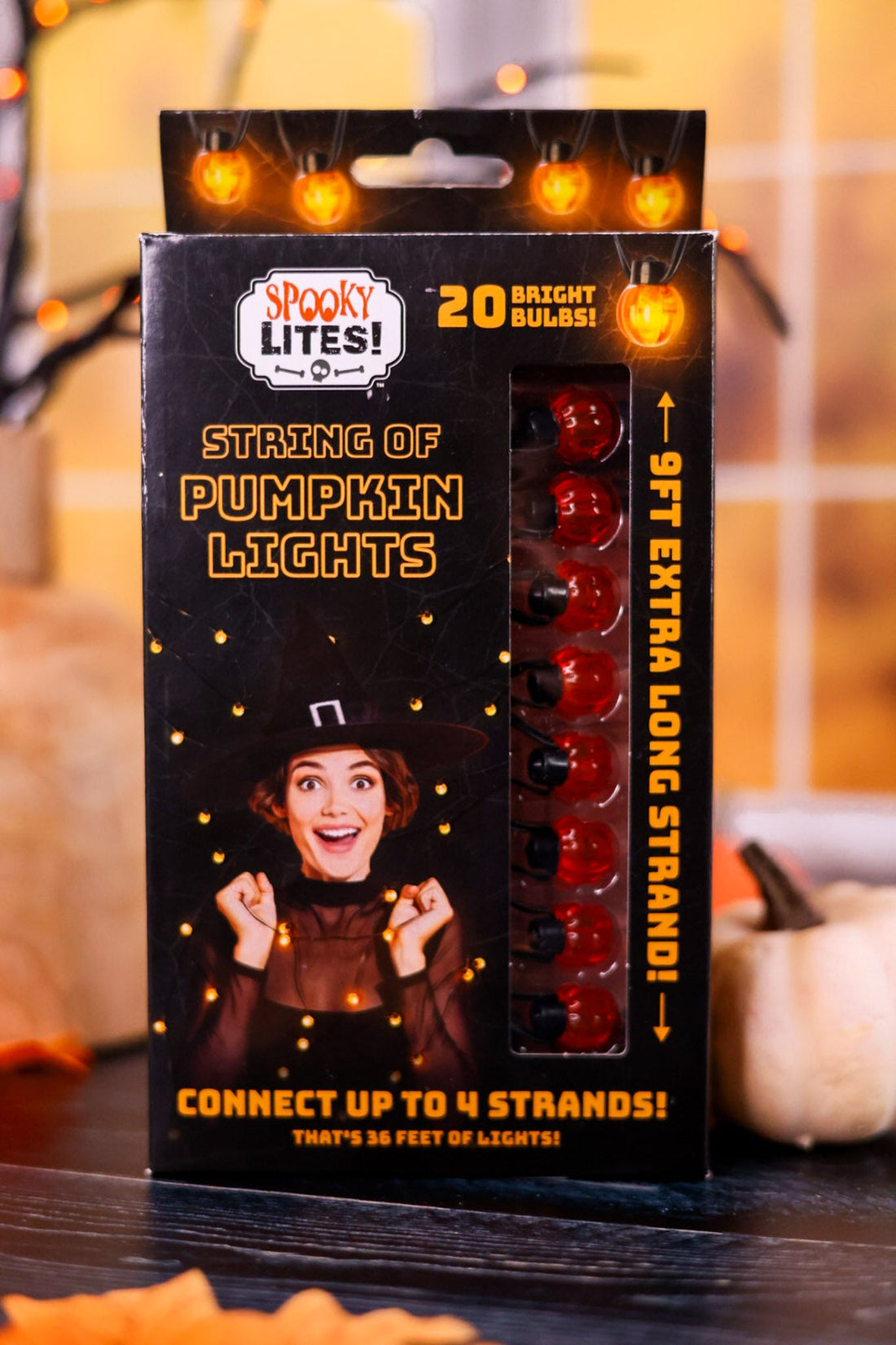 Mini Pumpkin String Lights - Whiskey Skies - DM MERCHANDISING