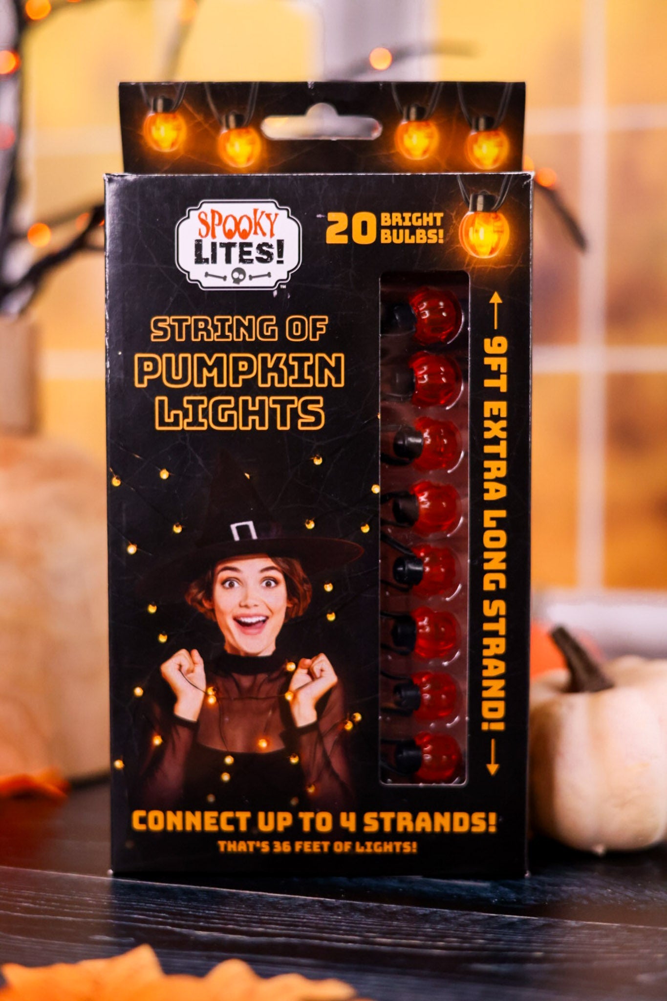 Mini Pumpkin String Lights - Whiskey Skies - DM MERCHANDISING