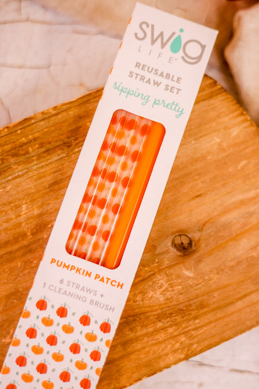 Pumpkins & Orange Reusable Straw Set - Whiskey Skies - SWIG LIFE